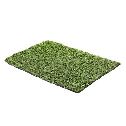 Zendea Kunstrasen für den Außenbereich 8 mm – Kunstrasen mit Drainage auf Rolle H100 x L2500 cm, Kunstrasen für Garten oder Balkon Anti-UV und leicht zu verlegen von Zendea