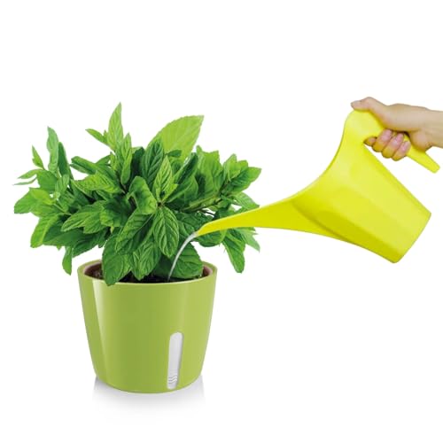 Zendea Pflanztopf rund grün 11 x 13,5 cm mit transparenter Seite zur Kontrolle des Wassers – ideal für den Anbau Kleiner Pflanzen, Blumen und Kräuter auf der Terrasse oder im Garten – robust von Zendea