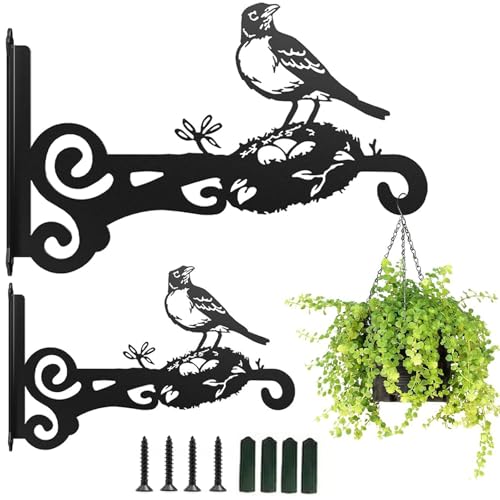 Zengjunwei 2 Stück Blumenampel Halterung Metall, Blumentopf Wandhalterung, Pflanzenaufhänger Aus Eisen, Für Laternen Pflanzer Vogelhäuschen Windspiele (Vogelnest) von Zengjunwei