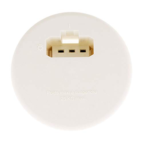 Zenitech - DCL Abdeckung für Ø80mm Wanddose - Integrierte DCL Steckdose 2 P+T 6A 250V - Vereinfachte und Sichere Installation - Kompatibel mit DCL Steckern und Steckdosen - Weiß Zenitech - DCL Abdeckung für Ø80mm Wanddose - Integrierte DCL Steckdose 2 P+T 6A 250V - Vereinfachte und Sichere Installation - Kompatibel mit DCL Steckern und Steckdosen - Weiß von Zenitech