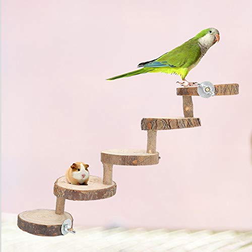 ZenithAur Holz Hamster Leiter für Kleintierkauen Spielzeug Übung Klettern Barsch Haustier Aktivität Plattform für Gerbil Ratten Hamster Spielzeugvogel Käfig ZenithAur Holz Hamster Leiter für Kleintierkauen Spielzeug Übung Klettern Barsch Haustier Aktivität Plattform für Gerbil Ratten Hamster Spielzeugvogel Käfig von ZenithAur