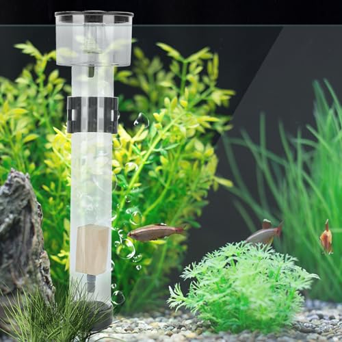 Zenithaur -Protein -Skimmer für Aquarien, Acrylfischtankfilter -Separator mit IQ5 -Mini -Aquariumfilterzubehör Zenithaur -Protein -Skimmer für Aquarien, Acrylfischtankfilter -Separator mit IQ5 -Mini -Aquariumfilterzubehör von ZenithAur