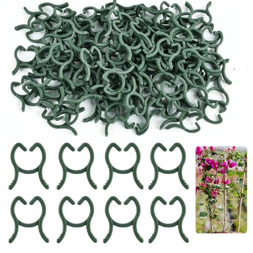 Pflanzenclips,100pcs Klein pflanzenklammern,Tomaten Clips,Wiederverwendbar orchideen klammern,Für Gartenarbeit & Professionelle Pflanzenpflege von ZenithFast