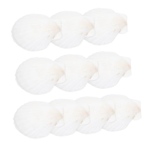 Zerodeko 10 Stück Teiliges Natürliche Weiße Jakobsmuscheln DIY Bastelmaterial Muschelschalen Deko für Aquarium Wohnraum Strandparty und Handwerksprojekte von Zerodeko
