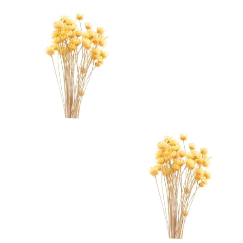 Zerodeko 100 STK kleine Sternblume gefälschte Tulpen lilane Blumen Baby Atem Blumen künstliche Blumen Dekor Brasilianische Sternblume Mini schmücken Lavendelblüten getrocknete Blumen Strauß von Zerodeko