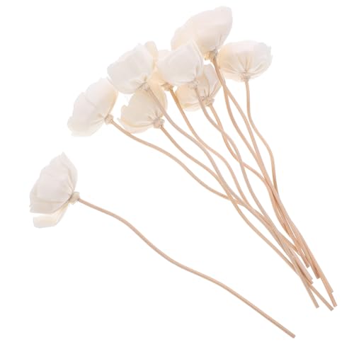 Zerodeko 10Stücke Rattan Duftstäbchen mit Blumen-Design für Aromatherapie Aromastäbchen für Ätherische Öle für Küche Schlafzimmer und Wohnzimmer Langlebig und Dekorativ Zerodeko 10Stücke Rattan Duftstäbchen mit Blumen-Design für Aromatherapie Aromastäbchen für Ätherische Öle für Küche Schlafzimmer und Wohnzimmer Langlebig und Dekorativ von Zerodeko