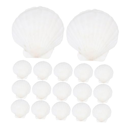 Zerodeko 40Stücke DIY Muscheln Weiße Jakobsmuscheln für Kreative Bastelprojekte Heimdekoration und Party Dekorationen für Aquarien und Strand Themen von Zerodeko