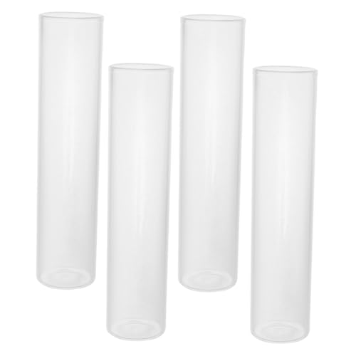 Zerodeko 4stücke Glas Hydrokultur-pflanzgefäß Für Zimmerpflanzen Reagenzglas-blumenhalter Klare Glasröhren Für Balkon Garten Innenbereich Fensterbrett von Zerodeko
