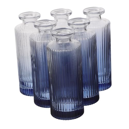 Zerodeko 6 Stück Teiliges Vintage Duftöl Glasflaschen mit Geprägtem Retro-Design Leere Aromatherapie Diffuser Vasen aus Klarem Glas Dekorative Kleine Parfümflakons für Zuhause und Reise von Zerodeko