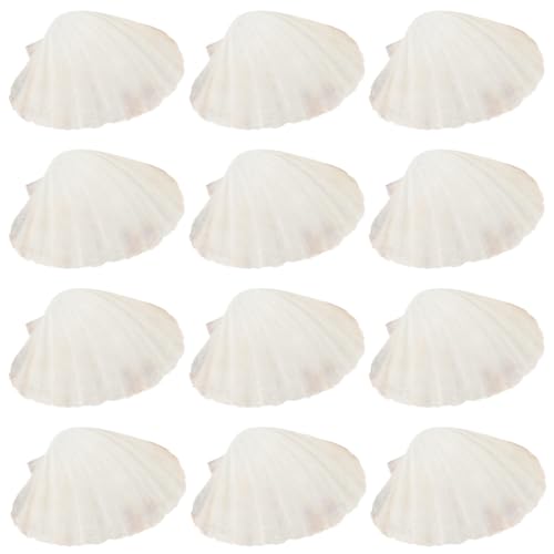Zerodeko 12stücke Natürliche BBQ Muschelschalen Für Garnelen Und Austern Stilvolle Servierplatten Für Feiern Und Anlässe Passend Für Tischdekoration Zerodeko 12stücke Natürliche BBQ Muschelschalen Für Garnelen Und Austern Stilvolle Servierplatten Für Feiern Und Anlässe Passend Für Tischdekoration von Zerodeko