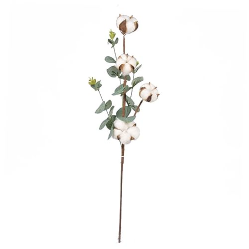 Zerodeko Künstlicher Blumenstrauß Mit Baumwollzweigen Und Eukalyptusblättern Für Hochzeiten Partys Und Wohnraumdekoration Köpfe Flexibles Design Für Kreative Arrangements Zerodeko Künstlicher Blumenstrauß Mit Baumwollzweigen Und Eukalyptusblättern Für Hochzeiten Partys Und Wohnraumdekoration Köpfe Flexibles Design Für Kreative Arrangements von Zerodeko