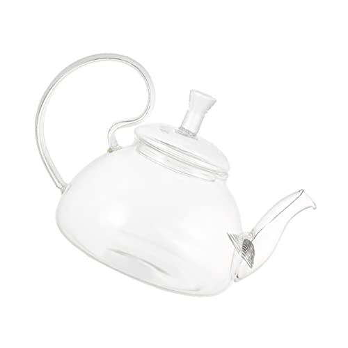 Zerodeko Teapot House Hitzebeständige Glasteekanne Blühende Für Den Haushalt Hoher Griff von Zerodeko