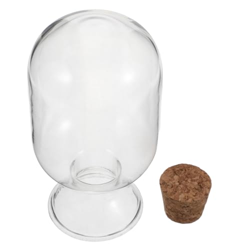 Zerodeko Transparente Glasvitrine Flaschenhalter für Kamin Streichholzbehälter Mantel Display Kleine Aufbewahrung Flasche mit Korken für Wattepads Zahnstocher Zerodeko Transparente Glasvitrine Flaschenhalter für Kamin Streichholzbehälter Mantel Display Kleine Aufbewahrung Flasche mit Korken für Wattepads Zahnstocher von Zerodeko