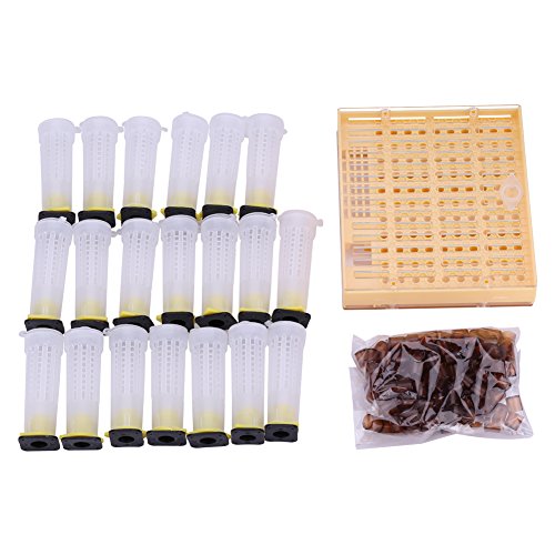 Bienenkönigin Aufzucht Set - Imkerei Box mit Zellenbechern, Abdeckungen, Werkzeug und Zubehör für Bienenzucht Bienenkönigin Aufzucht Set - Imkerei Box mit Zellenbechern, Abdeckungen, Werkzeug und Zubehör für Bienenzucht von Zerodis