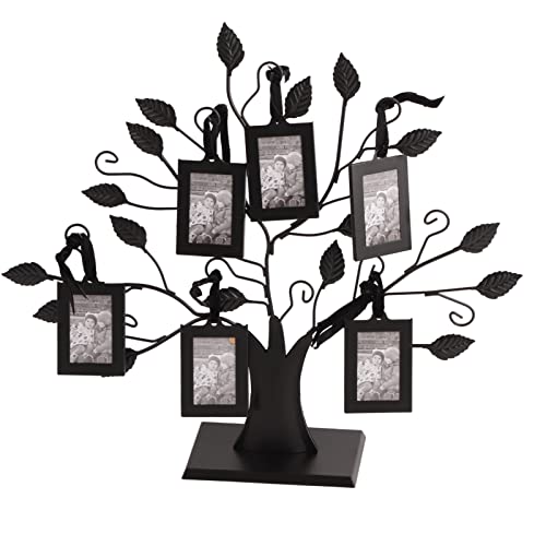 6 hängende/12 hängende Fotos-Anzeige-Baum-Stammbaum-Bilderrahmen mit hängendem Baum-Design-dekorativer Tisch für Foto-Bilder-Baum-Anzeige[S, 6 Photo Frames with 6.4 * 4.6cm, 12] von Zerodis