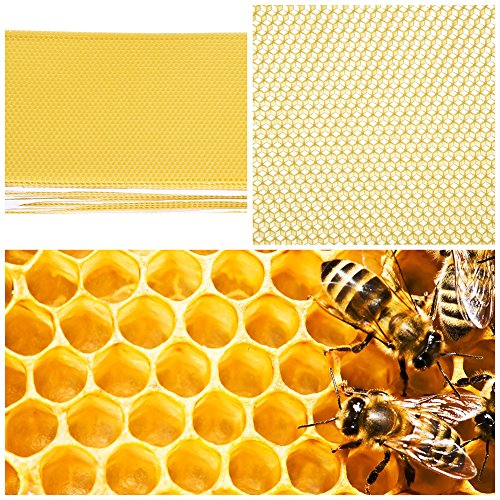 Zerodis 30Pcs Bienenstock Fundament Rahmen Imkereiausrüstung Zubehör Bienenzucht Werkzeug für Honig-Extraktor von Zerodis