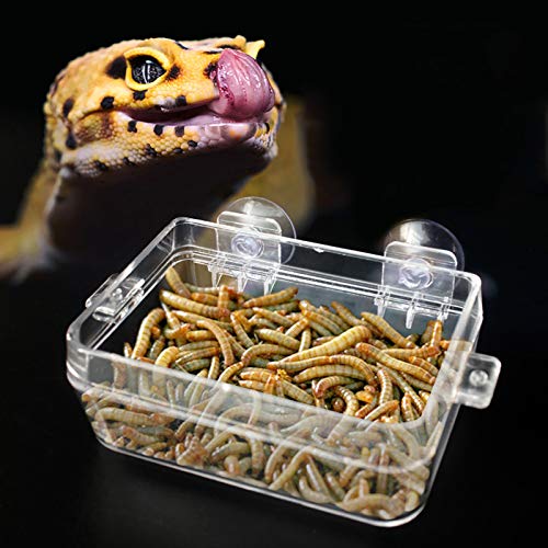 Zerodis Gecko, Eidechse, Schlangenfutterschale, Transparentes Saugnapfbecher -Food -Becken mit Einfacher Installation und Verhindern Flucht, Beobachtung von Insekten für Gecko, Maisschlange, Leguan, Zerodis Gecko, Eidechse, Schlangenfutterschale, Transparentes Saugnapfbecher -Food -Becken mit Einfacher Installation und Verhindern Flucht, Beobachtung von Insekten für Gecko, Maisschlange, Leguan, von Zerodis