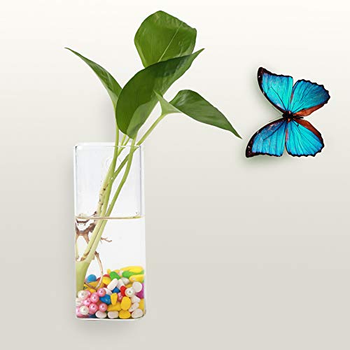 Zerodis Hängevase Wandvase Pflanzengefäße Glas-Wand-Pflanzgefäßen Garden Flasche Vase für Haus Garten Pflanzen Blumen Hausdekoration Glas Transparent Hochzeit DIY-Projekt Urlaub von Zerodis