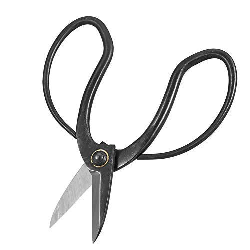 Zerodis Langlebige Edelstahl -Dicny für die Blume der Botentry -Werkzeuge in Blumen Prune Blume, Ungiftig, Wiederverwendbar, Langlebig für Gartenliebhaber Zerodis Langlebige Edelstahl -Dicny für die Blume der Botentry -Werkzeuge in Blumen Prune Blume, Ungiftig, Wiederverwendbar, Langlebig für Gartenliebhaber von Zerodis
