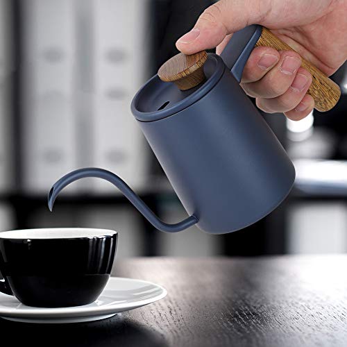 Zerodis Moderner Edelstahl -Stahlgriff Drip -Kaffee Topf Exquisite Schwanenhals Ausgabetäle für Präzise Kaffee Extraktion (BLUE) von Zerodis