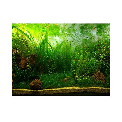 Zerodis PVC Aquarium Hintergrund Poster, Wasser Gras Stil PVC Adhesive Static Aquarium Wallpaper Hintergrund(76 * 30cm) von Zerodis