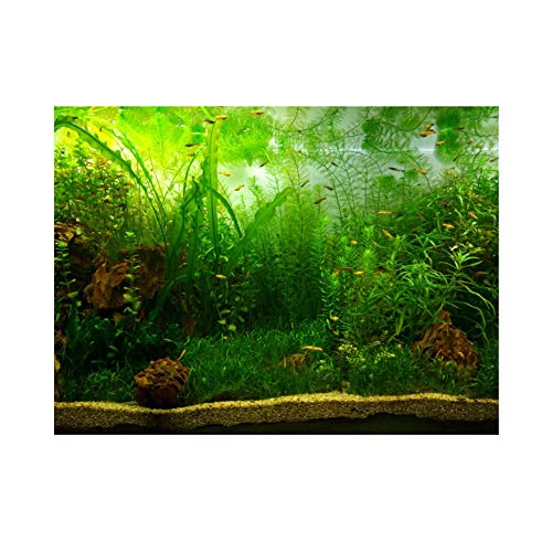 Zerodis PVC Aquarium Hintergrund Poster, Wasser Gras Stil PVC Adhesive Static Aquarium Wallpaper Hintergrund(91 * 41cm) von Zerodis