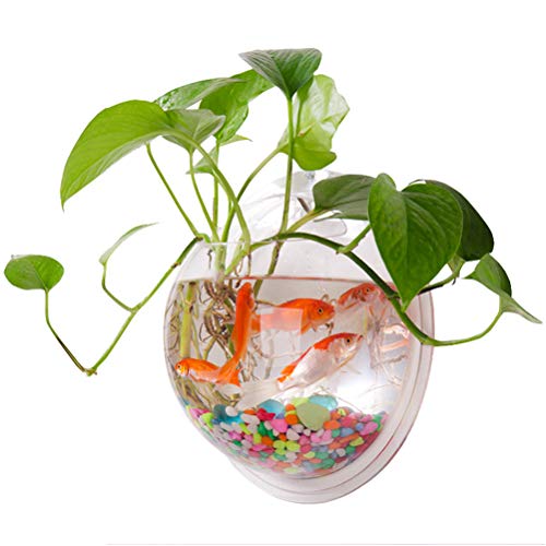 Wandbehang Fish Bowl Acrylvase Blumenpflanze Wandmontierter Blumentopf Zum Aufhängen Aquarium Dekorativer Behälter von Zerodis