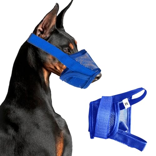 Maulkorb für Hunde, Anwendbar auf Netzmaulkorb, Prevent Kauen/Beißen, Atmungsaktiv und Bequem, Schnell Sitzende Hundemündung mit Verstellbaren Trägern für Mittelgroße und Kleine Hunde (M Blau) Maulkorb für Hunde, Anwendbar auf Netzmaulkorb, Prevent Kauen/Beißen, Atmungsaktiv und Bequem, Schnell Sitzende Hundemündung mit Verstellbaren Trägern für Mittelgroße und Kleine Hunde (M Blau) von Zerquell