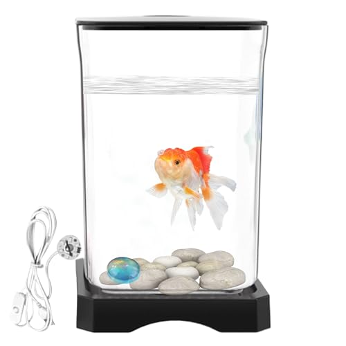 Kompakt Betta Aquarium - einzigartiger Mini -Tank, Desktop -Schüssel | Stilvoller klarer Halter mit Beleuchtungssystem, einfache Wartungsstruktur für Erstbesitzer, Tischverzierung, Home Office Display von Zestivra