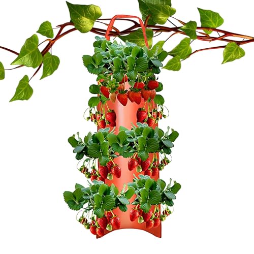 Zestivra Hängender Blumenkasten für Erdbeeren – Luftkultivator von Erdbeeren – Töpfe zum Anbau von Tomaten, Erdbeeren, Chili, Blumen, Garten, Obstgarten, Balkon, Terrasse Zestivra Hängender Blumenkasten für Erdbeeren – Luftkultivator von Erdbeeren – Töpfe zum Anbau von Tomaten, Erdbeeren, Chili, Blumen, Garten, Obstgarten, Balkon, Terrasse von Zestivra