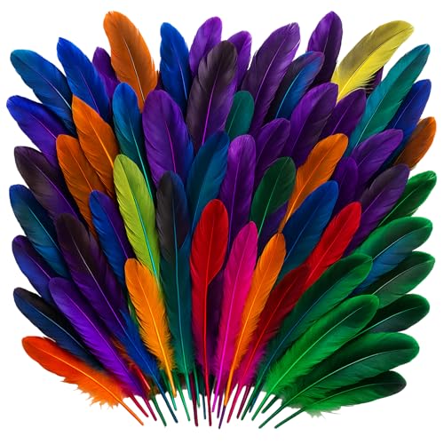 ZexJpr 150 Stück Federn Zum Basteln, Stück Bunte Federn Für DIY Traumfänger, Hochzeitsdekoration Und Ohrringe, 10 cm Länge, Beste Wahl Für Handgeschenke von ZexJpr