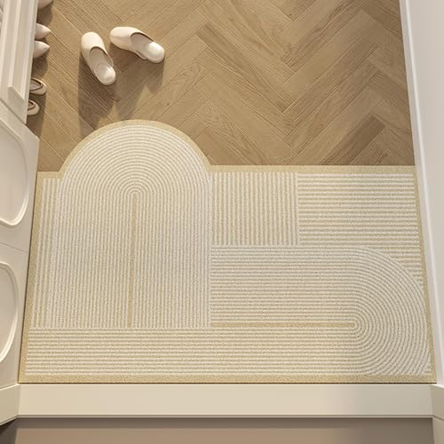 Zeyeo Fußmatte Für Den Eingangsbereich, Leichtes, Luxuriöses Drahtring-Design, Schmutzabsorbierende, Abriebfeste Bodenmatte Für Den Innen- Und Außenbereich(Style 2) von Zeyeo