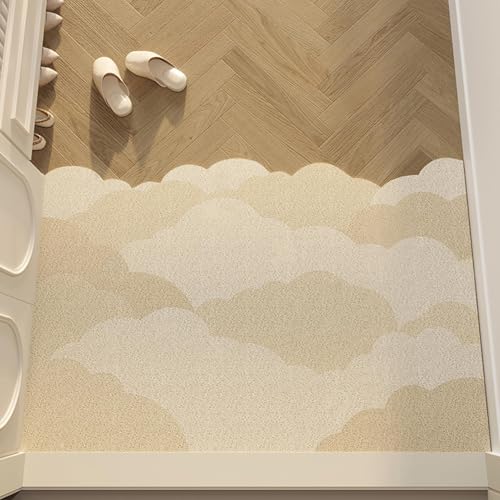Zeyeo Fußmatte Für Den Eingangsbereich, Leichtes, Luxuriöses Drahtring-Design, Schmutzabsorbierende, Abriebfeste Bodenmatte Für Den Innen- Und Außenbereich(Style 9) von Zeyeo
