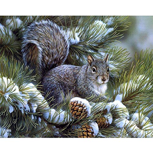 Zeyevan Diamond Painting Eichhörnchen, 5D DIY Diamant Painting Tier Kit, Diamant Malerei Strass Kristallmalerei Kreuzstich Kunsthandwerk 30x40 cm Zeyevan Diamond Painting Eichhörnchen, 5D DIY Diamant Painting Tier Kit, Diamant Malerei Strass Kristallmalerei Kreuzstich Kunsthandwerk 30x40 cm von Zeyevan