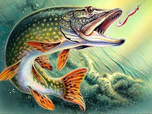 Zeyevan Diamond Painting Fisch, 5D DIY Diamant Painting Tier Kit, Diamant Malerei Strass Kristallmalerei Kreuzstich Kunsthandwerk 30x40 cm Zeyevan Diamond Painting Fisch, 5D DIY Diamant Painting Tier Kit, Diamant Malerei Strass Kristallmalerei Kreuzstich Kunsthandwerk 30x40 cm von Zeyevan