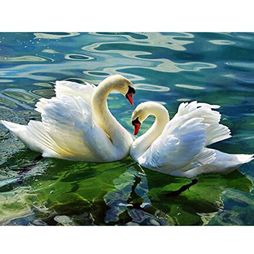 Zeyevan Diamond Painting Schwan, 5D DIY Diamant Painting Tier Kit, Diamant Malerei Strass Kristallmalerei Kreuzstich Kunsthandwerk 30x40 cm Zeyevan Diamond Painting Schwan, 5D DIY Diamant Painting Tier Kit, Diamant Malerei Strass Kristallmalerei Kreuzstich Kunsthandwerk 30x40 cm von Zeyevan