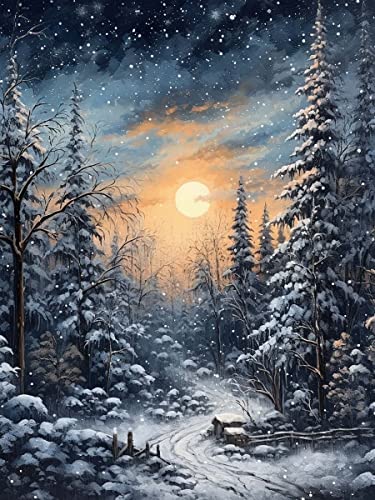 Zeyevan Diamond Painting Weihnachten Zubehör Bilder, DIY 5D Diamant Painting Bilder Verschneite Landschaften Kreuzstich Strass Stickerei Handwerk Für Home Office Wanddekoration 30x40 cm von Zeyevan