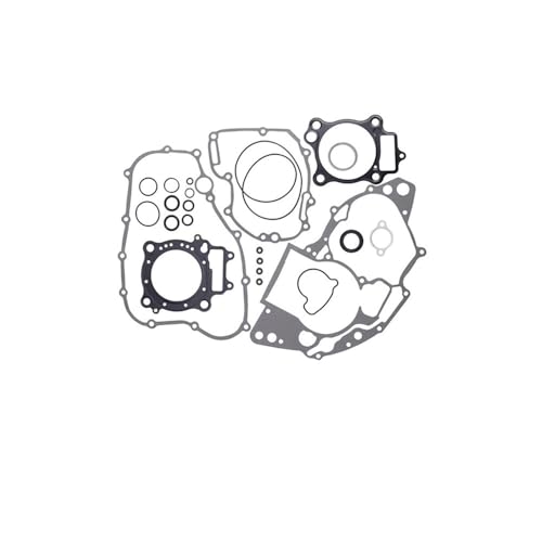 Motorrad Motor Zylinder Dichtung Kit for CRF250R CRF250X CRF250 CRF250RX von ZfOvvRe