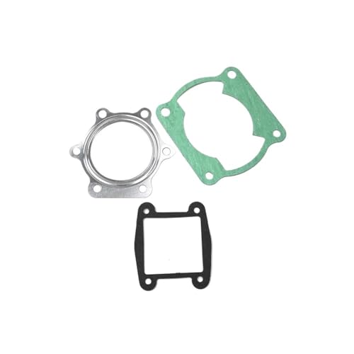 Motorrad-Motorteile Kopfseitendeckeldichtung for B200 YFS200 YS200 1988 bis 2006 2XJ-11181-00-00 3JM 11351 02 01 00 von ZfOvvRe