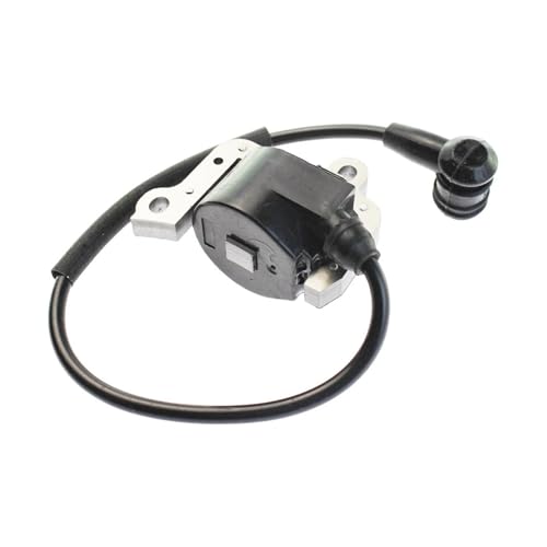 ZfOvvRe Zündspule 2300677 2300800 2300807 Passend for Nebelstaubsauger Mistblowers 423 423S von ZfOvvRe