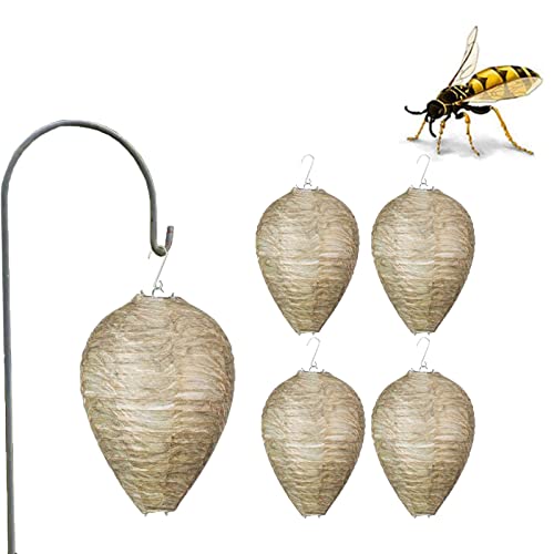5 Stück Wespennest Lockvogel Wasserdicht Waspinator Wespenfalle Outdoor Hängend für Garten Outdoor 5 Stück Wespennest Lockvogel Wasserdicht Waspinator Wespenfalle Outdoor Hängend für Garten Outdoor von ZhangJJJJJJJ