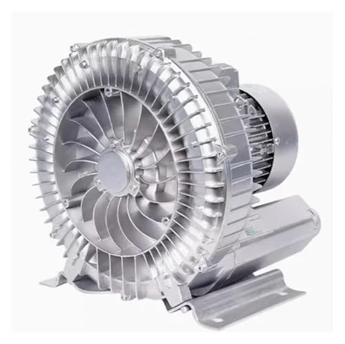 1 Stück Hochdruck-Axialventilator-Sauerstoff-Druckerhöhungspumpe -220 V Leises Vortex-Gebläse for den Einsatz in Industrie und Aquakultur(750w Single Phase) von ZhaoQIAN