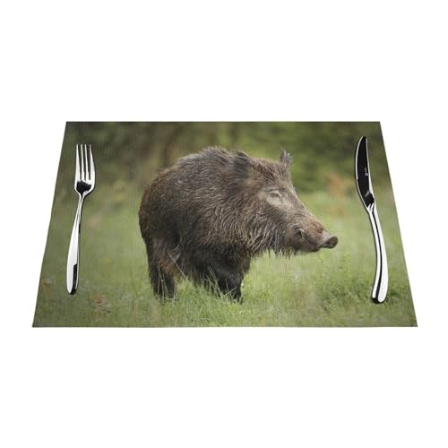 Platzsets aus PVC, Motiv: Wildschwein, waschbar, rutschfest, rechteckig, für Küche, Esstisch, Wärmeisolierung, 45 x 30 cm von Zhimahou