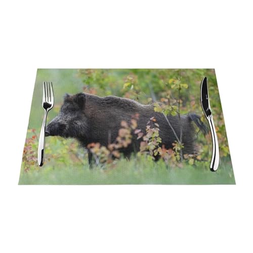 Platzsets aus PVC, Motiv: Wildschwein im Wald, waschbar, rutschfest, rechteckig, für Küche, Esstisch, Wärmeisolierung, 45 x 30 cm von Zhimahou