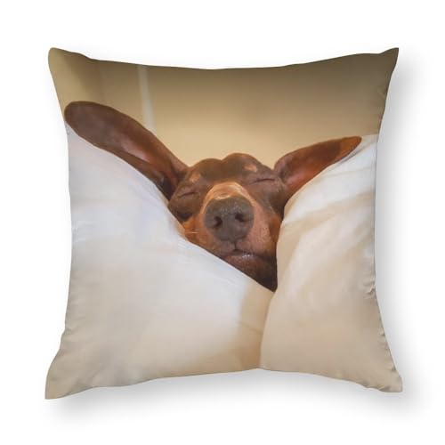 Zhimahou 30 x 30 cm große Kissenbezüge, lustiger Dackel, kuscheln auf dem Bett, Stuhlkissen, Sofakissen, Sitzkissenbezüge, Bettkissenbezüge Zhimahou 30 x 30 cm große Kissenbezüge, lustiger Dackel, kuscheln auf dem Bett, Stuhlkissen, Sofakissen, Sitzkissenbezüge, Bettkissenbezüge von Zhimahou