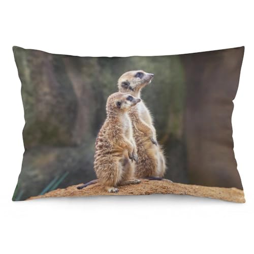 Zhimahou Kissenbezüge, 60 x 40 cm, zwei niedliche neugierige Erdmännchen stehen auf sandigem Hügel, Stuhlkissen, Sofakissen, Sitzkissenbezüge, Bett-Kissenbezüge Zhimahou Kissenbezüge, 60 x 40 cm, zwei niedliche neugierige Erdmännchen stehen auf sandigem Hügel, Stuhlkissen, Sofakissen, Sitzkissenbezüge, Bett-Kissenbezüge von Zhimahou