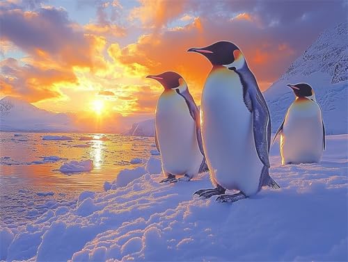 Diamond Painting Pinguin Diamant Painting Bilder Erwachsene Tier, Basteln Mädchen 8 9 10 Jahre, Diamond Art Eckige Steine, DIY Diamant Malerei Bastelset Erwachsene für Deko Wohnzimmer 40x30 cm K-9 Diamond Painting Pinguin Diamant Painting Bilder Erwachsene Tier, Basteln Mädchen 8 9 10 Jahre, Diamond Art Eckige Steine, DIY Diamant Malerei Bastelset Erwachsene für Deko Wohnzimmer 40x30 cm K-9 von Zhngzoyn