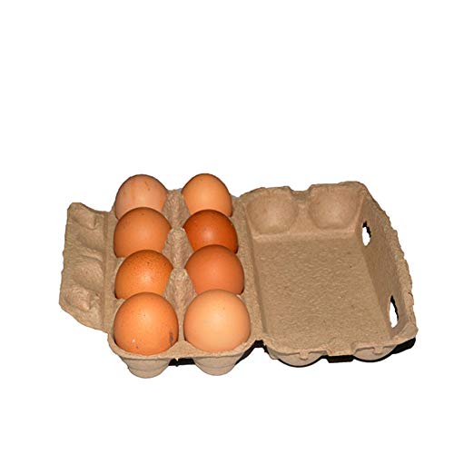 Karton Eierschachteln 8 Stück Eierschichten Eierschachteln Eierschalen zur Aufbewahrung von frischen Weiden erhöhten Eiern, biologisch abbaubar, umweltfreundlich, sicher und sicher Eierbehälter Karton Eierschachteln 8 Stück Eierschichten Eierschachteln Eierschalen zur Aufbewahrung von frischen Weiden erhöhten Eiern, biologisch abbaubar, umweltfreundlich, sicher und sicher Eierbehälter von Zhongkaihua