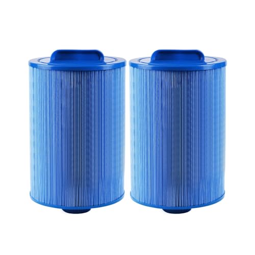 ZhuiFengA Ersatz PWW50 p3, Pool-Spa-Filter, Kartuschenfilter, Für Außenpools (2 Stück) von ZhuiFengA