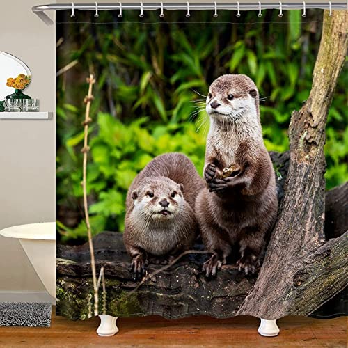 Duschvorhang 180x200 Otter Duschrollo Wasserabweisend Anti-Schimmel mit 12 Duschvorhangringen, 3D Bedrucktshower Shower Curtains, für Duschrollo für Badewanne Dusche von Zhwe